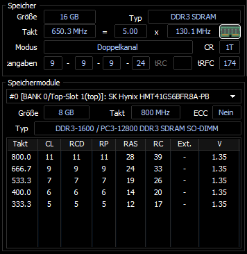 Der von mir verwendete RAM von SK Hynix.