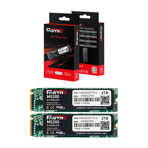 Mega Fastro MS200, Zweimal mit je 2 TB (Bild: MEGA Electronics)